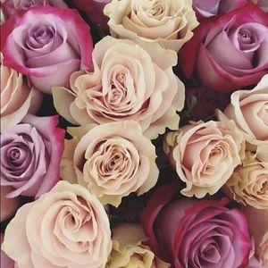 Meet your Posher, Karissa